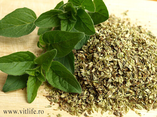 Frunze de Oregano